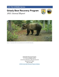 2021 Grizzly Bear Recovery Program Annual Report