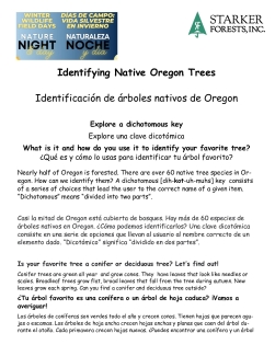 Identifying Native Oregon Trees _WWFD 2022