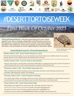 2023 Desert Tortoise Week Flyer