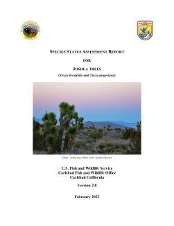 2023 Joshua Tree Species Status Assessment