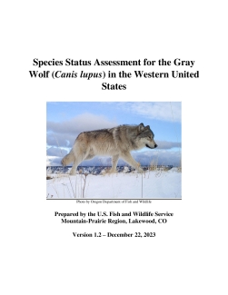 Species Status Assessment for the Gray Wolf in the Western United States v1.2