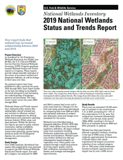 2019 National Wetlands Status and Trends Report Fact Sheet