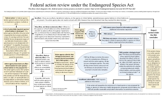 Federal action review under the Endangered Species Act