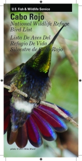 Cabo Rojo NWR Bird List (Eng/Spa)