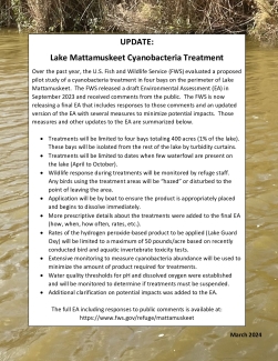 Update on Lake Mattamuskeet Cyanobacteria Treatment