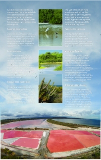 Variety of Ecosystems at the Cabo Rojo Salt Flats (Eng/Spa)
