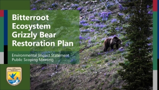 Scoping Meeting Slides from Grizzly Bitterroot EIS Project