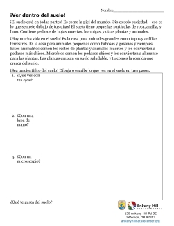Hand Lens Take Home Activity in Spanish