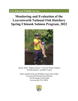 Monitoring and Evaluation of the Leavenworth National Fish Hatchery Spring Chinook Salmon Program, 2022