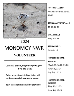 2024 Volunteering Opportunities Flyer