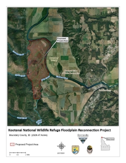 Kootenai National Wildlife Refuge Floodplain Reconnection Project