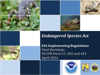 Endangered Species Act Regulation Revisions Presentation