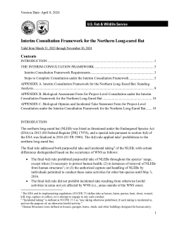 Interim Consultation Framework for Northern Long-Eared Bat
