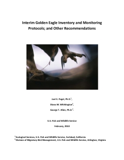 Interim Golden Eagle Inventory and Monitoring Protocols