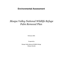 Moapa Valley NWR Palm Removal Plan - Revised