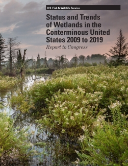 Status and Trends of Wetlands in the Conterminous United States 2009 to 2019