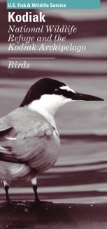Kodiak NWR Bird List