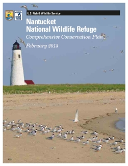 The Nantucket NWR Comprehensive Conservation Plan 