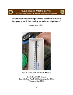 Do elevated stream temperatures affect larval Pacific Lamprey growth, burrowing behavior or physiology? Annual Report: 2021
