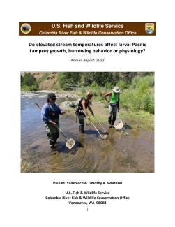 Do elevated stream temperatures affect larval Pacific Lamprey growth, burrowing behavior or physiology?