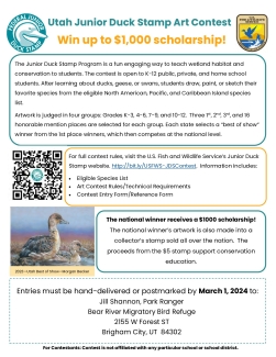 2024 Utah Junior Duck Stamp Art Contest Flyer for Students