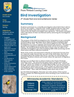 3rd Grade Spring Bird Investigation