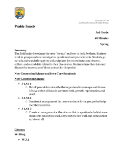 3rd-grade-Prairie-Insects-508.pdf