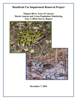 Final Anuran and Marsh Bird Survey Report: Year 3 (2016)