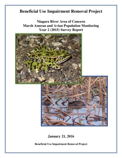 Final Anuran and Marsh Bird Survey Report: Year 2 (2015)