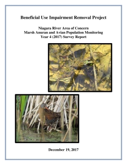Final Anuran and Marsh Bird Survey Report: Year 4 (2017) 
