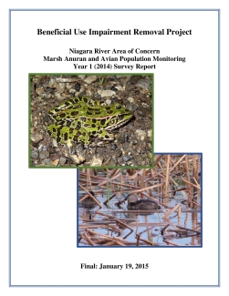 Final Anuran and Marsh Bird Survey Report: Year 1 (2014)