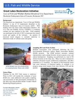 Loss of Fish and Wildlife Habitat Beneficial Use Impairment, Rochester Embayment Area of Concern, Fact Sheet