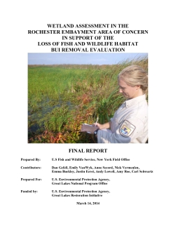 Wetland Assessment in the Rochester Embayment Area of Concern in Support of the Loss of Fish and Wildlife Habitat BUI Removal Evaluation