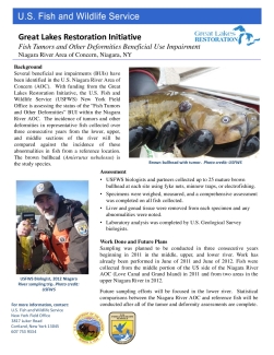 Fish Tumor and Other Deformities Beneficial Use Impairment, Niagara River Area of Concern, Fact Sheet