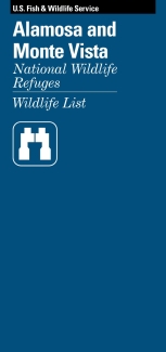 Alamosa & Monte Vista Wildlife List