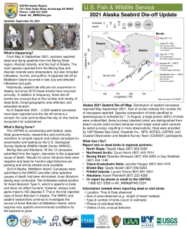 Alaska 2021 Seabird Die-off Fact Sheet.pdf