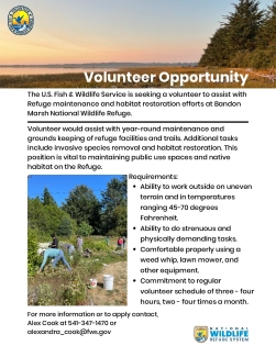 Bandon Marsh NWR Volunteer Opportunity 