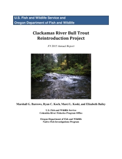 Clackamas River Bull Trout Reintroduction Project FY 2015 Annual Report