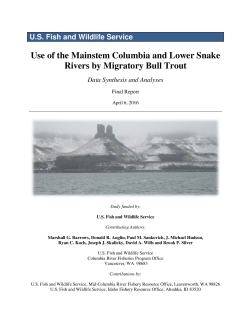 Use of the Mainstem Columbia and Lower Snake Rivers by Migratory Bull Trout- Data Synthesis and Analyses