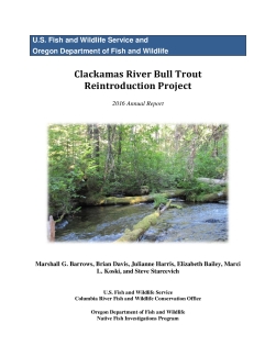 Clackamas River Bull Trout Reintroduction Project 2016 Annual Report