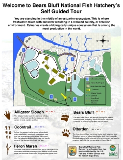 Bears Bluff NFH Map