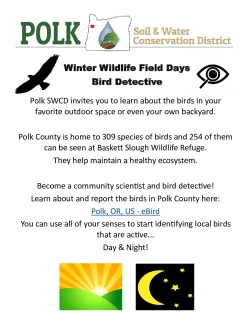 Bird Detective_English_Winter Wildlife Field Days 2022