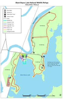 Black Bayou Lake Trail Map