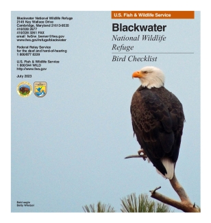 Blackwater NWR Bird Checklist