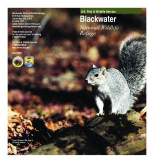 Blackwater NWR General Brochure