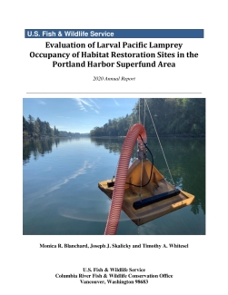 Evaluation of Larval Pacific Lamprey Occupancy of Habitat Restoration Sites in the Portland Harbor Superfund Area 2020 Annual Report