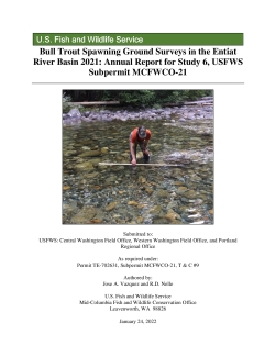 Bull Trout Spawning Ground Surveys in the Entiat River Basin 2021-508.pdf