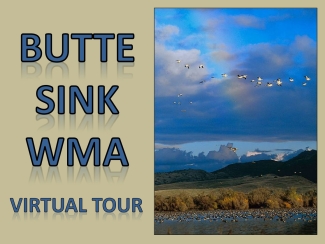 Butte Sink Unit virtual tour of the Sacramento National Wildlife Refuge Complex