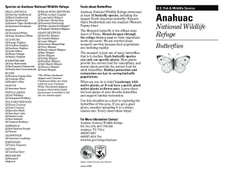 Anahuac NWR Butterflies Checklist