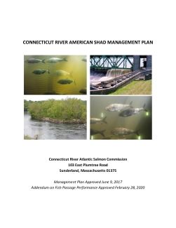Connecticut River American Shad Plan 2020